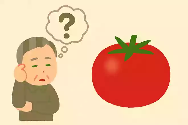 トマトは何科に分類されるでしょうか？NEW!