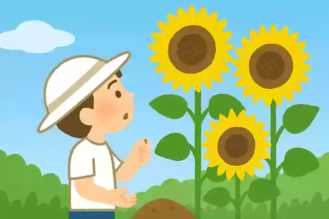 タネをまき今は見上げるひまわりだNEW!