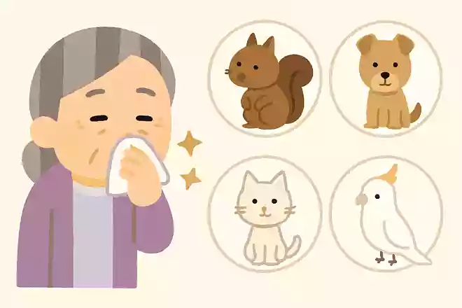 次のうち花粉症になる生き物はどれでしょうか?NEW!
