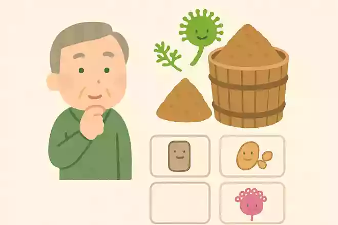味噌の発酵には微生物が大切な役割を果たしています。次のうち味噌の発酵に特に役立つ菌はどれでしょうか？NEW!