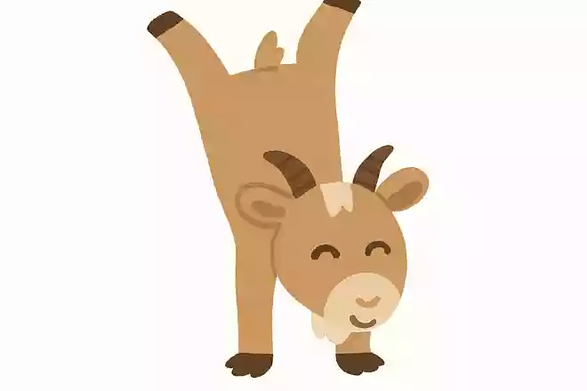 逆立ちするといい子になる動物はなんでしょう?NEW!
