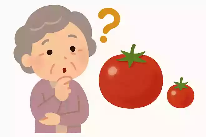 栄養素「リコピン」は大きなトマトと小さなトマト、どちらの方が多く含まれているでしょうか？NEW!