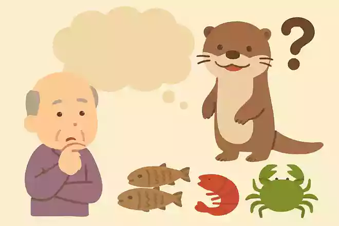 カワウソが好きな食べ物は何でしょうか？NEW!