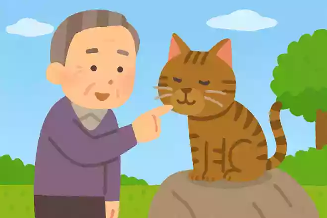 猫はどこで温度を感じているでしょうか?NEW!