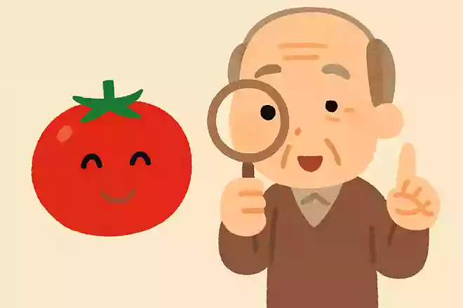 日本で最もトマトの収穫量が多いのはどの都道府県でしょうか?NEW!