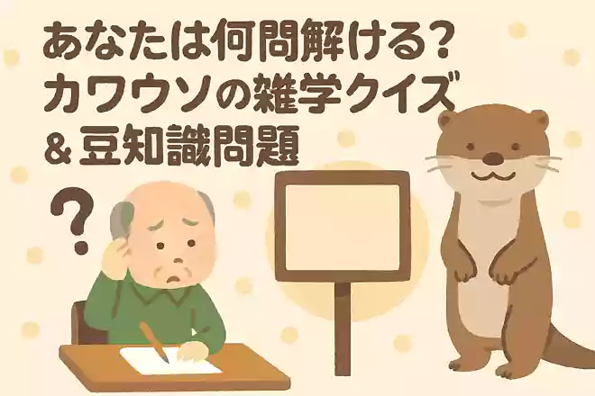 カワウソは英語では何と呼ばれているでしょうか?NEW!