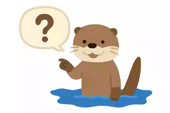 カワウソは生後何か月から泳げるようになるでしょうか?NEW!