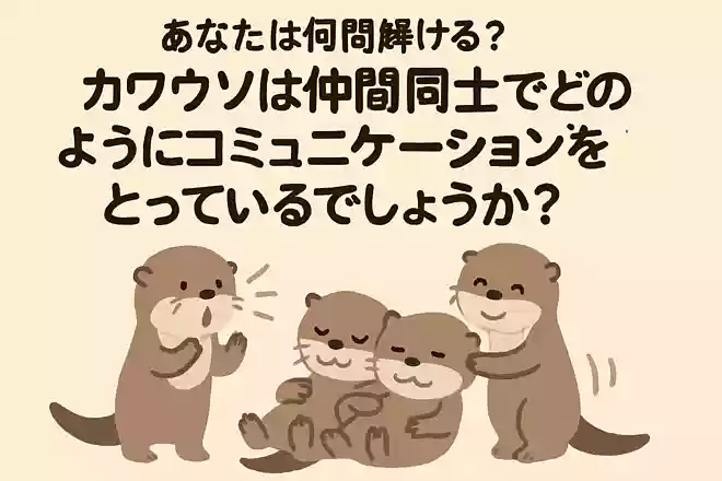 カワウソは仲間同士でどのようにコミュニケーションをとっているでしょうか？NEW!
