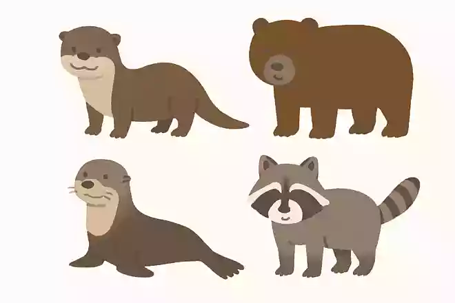 次のうち、カワウソの仲間はどれでしょうか?NEW!