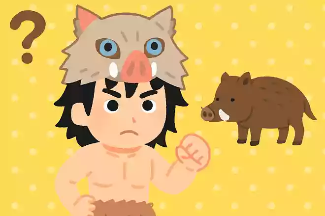 嘴平伊之助が頭に被っているのは何の動物の皮でしょう?