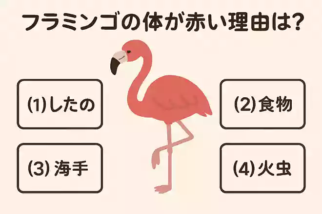 フラミンゴの体が赤い理由は?NEW!
