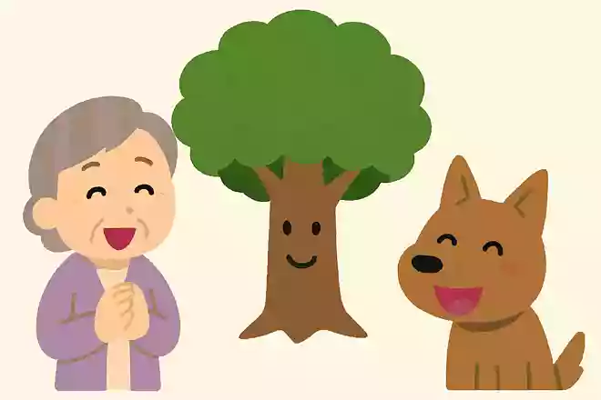 人間や動物の体のなかにある木とは、何の木でしょうか?NEW!