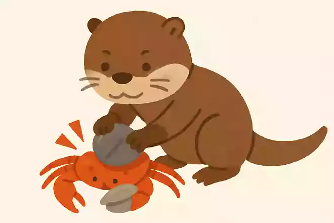 カワウソがカニやエビなどの甲殻類を食べるとき、どのようにして硬い殻を割るでしょうか？NEW!