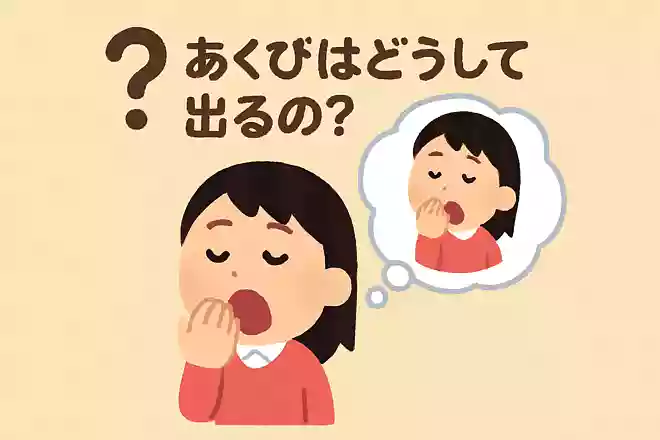 あくびはどうして出るの?NEW!