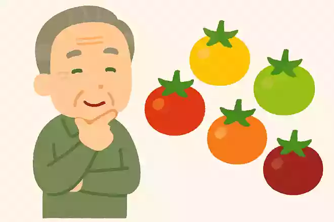 ミニトマトにはさまざまな色がありますが、その色は何によって変わるでしょうか？NEW!