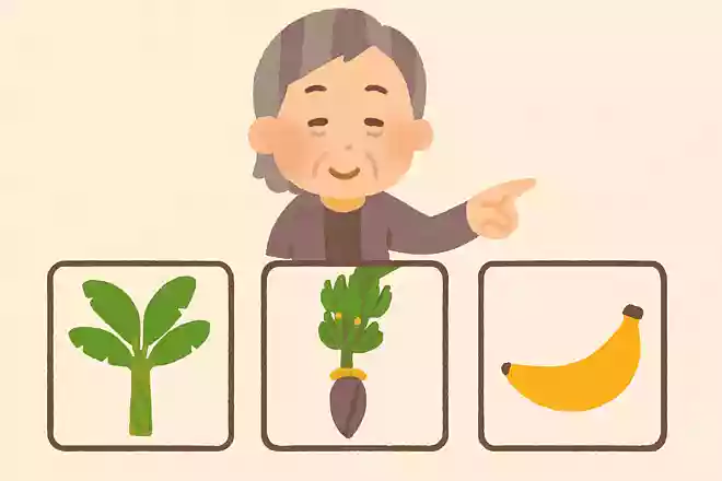 バナナの実ができるのは、次のうちどこでしょうか?NEW!