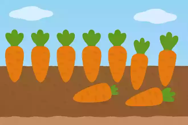 10本なっているにんじんを3本抜いたらあとはいくつでしょう?NEW!