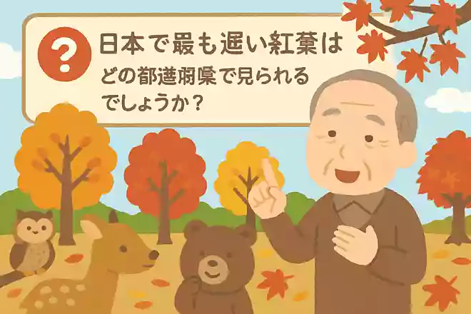 日本で最も遅い紅葉はどの都道府県で見られるでしょうか?NEW!