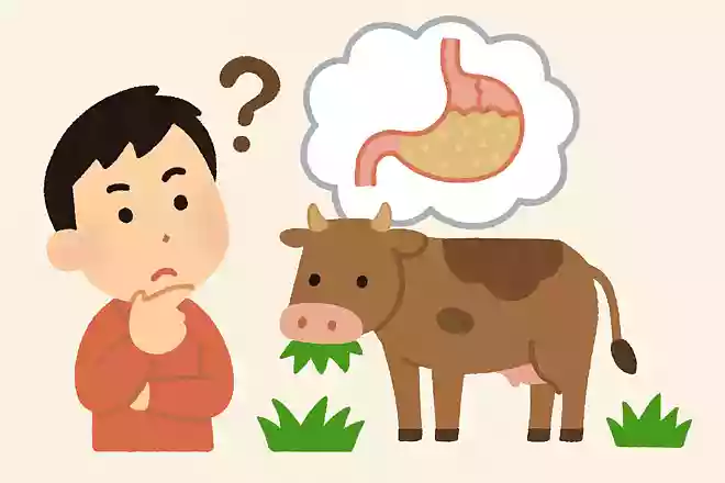 草食動物はどうして草だけ食べて生きられるの?NEW!