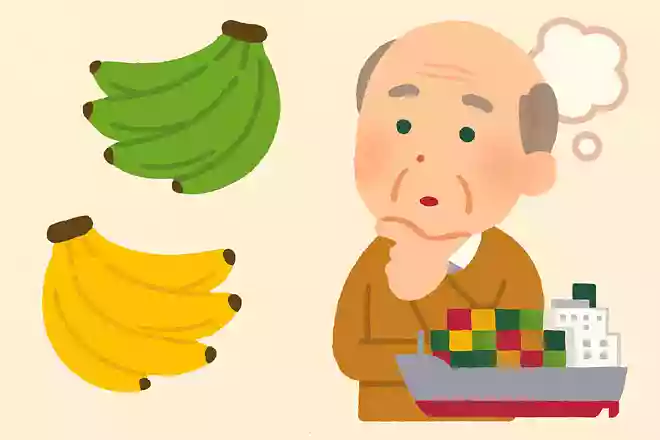 バナナは輸入の際、緑色の状態で輸入されます。その理由は何でしょうか?NEW!