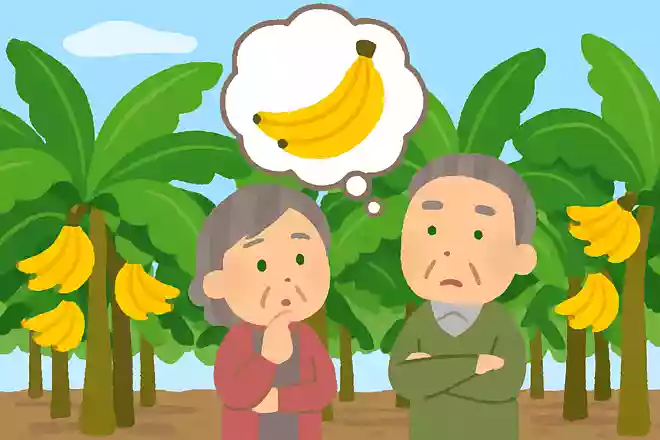 日本でもバナナの栽培はおこなわれているでしょうか?NEW!