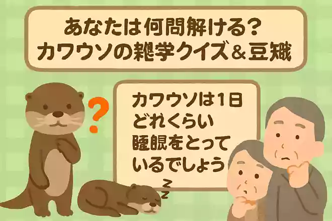 カワウソは1日にどれくらい睡眠をとっているでしょうか？NEW!