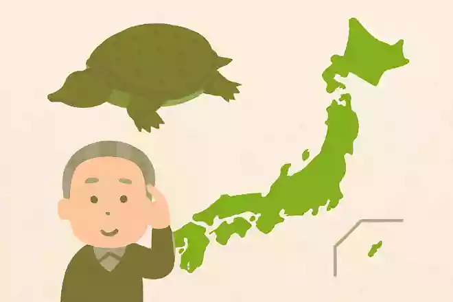 すっぽんは主にどこに住んでいるでしょうか?NEW!