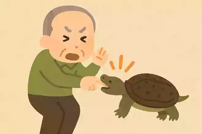すっぽんに噛まれてしまうと、なかなか離してくれません。どうすれば離してくれるでしょうか?NEW!