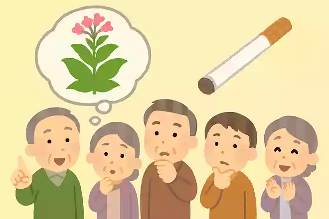 タバコは何を原料として作られているでしょうか?NEW!