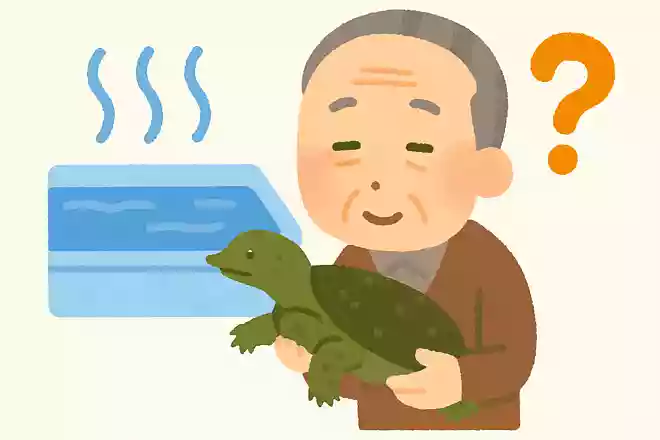 すっぽんの養殖を成功させるために、特に苦労する点とは何でしょうか?NEW!