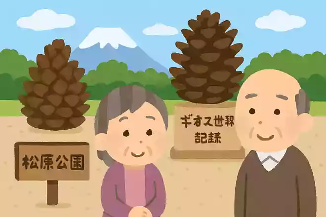 静岡県の観光名所「松原公園」には、ギネス認定されたあるものがあります。それは何でしょうか？NEW!