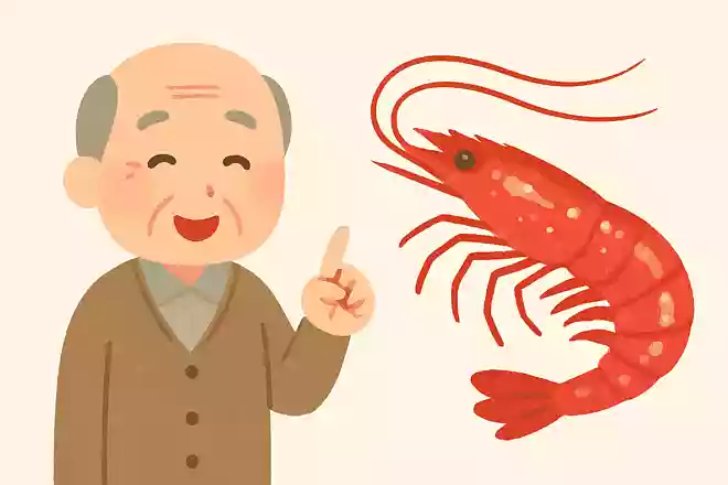静岡県の駿河湾で多く漁獲され、その美しさから「海の宝石」とも称される海産物は何でしょう?NEW!