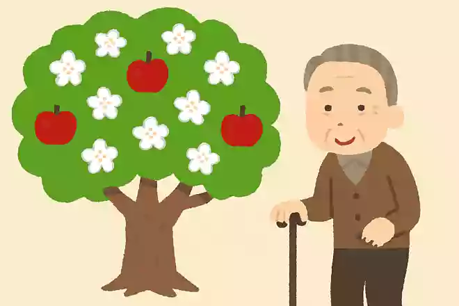 青森県の天然記念物にも指定されているりんごの木は、いつ頃に植えられたものでしょうか？NEW!