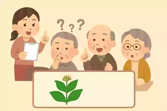 タバコ葉の品種は主に何種類存在しているでしょうか?NEW!
