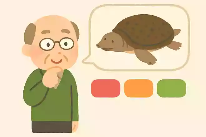 すっぽんの性格として正しいのは、次のうちどれでしょうか?NEW!