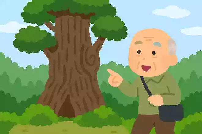 屋久島に自生する、日本最大のスギの名前は何でしょうか?NEW!