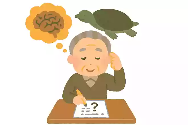 すっぽんの名前の由来には諸説ありますが、有力な説はどれでしょうか?NEW!