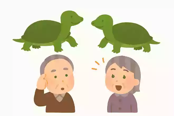 すっぽんの雄と雌の体の違いは何でしょうか?NEW!