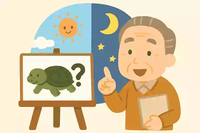 すっぽんはどの時間帯に活動的になるでしょうか?NEW!