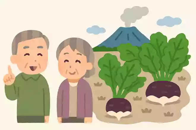 鹿児島県が全国の収穫量第1位の野菜とは何でしょうか?NEW!