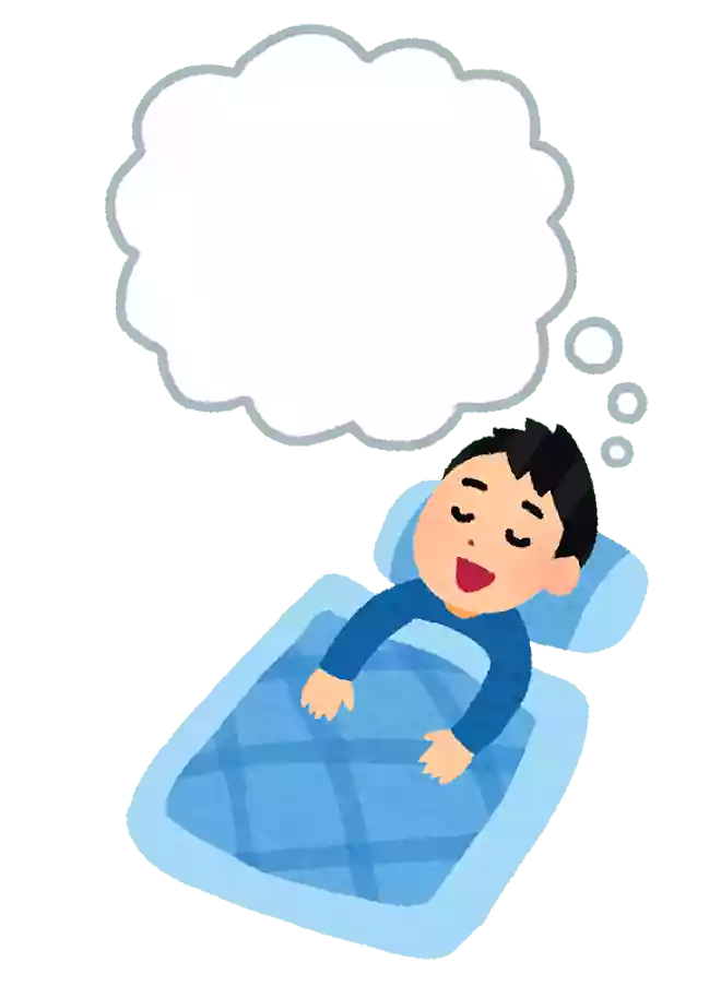 初夢とは何日に見る夢のこと?