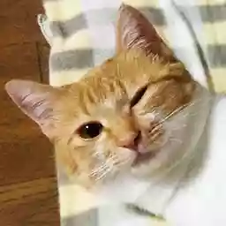 所長