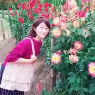 七花