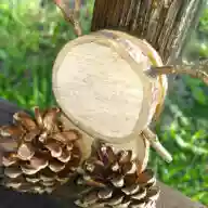 けぴこ
