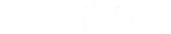 余興·出し物